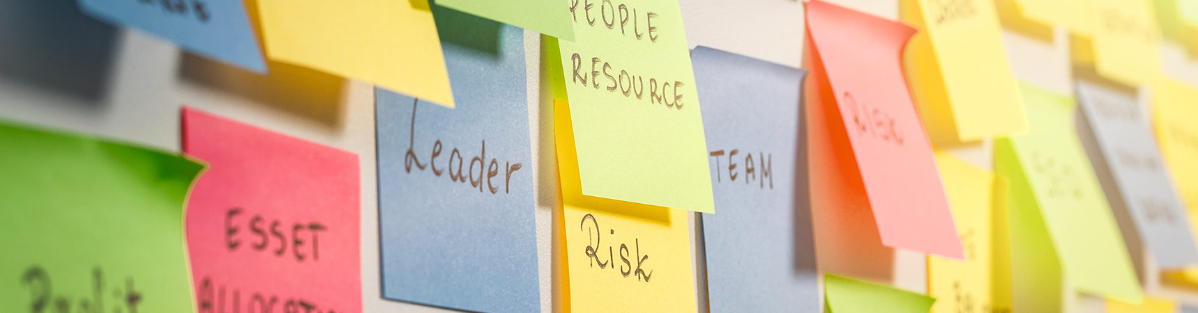 sub page 0301_weeklySchedule visual image